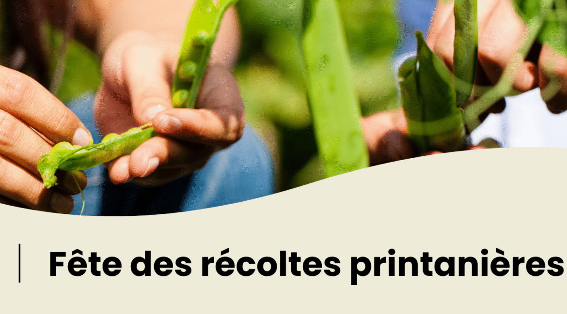 chox97-2025-05-04-10