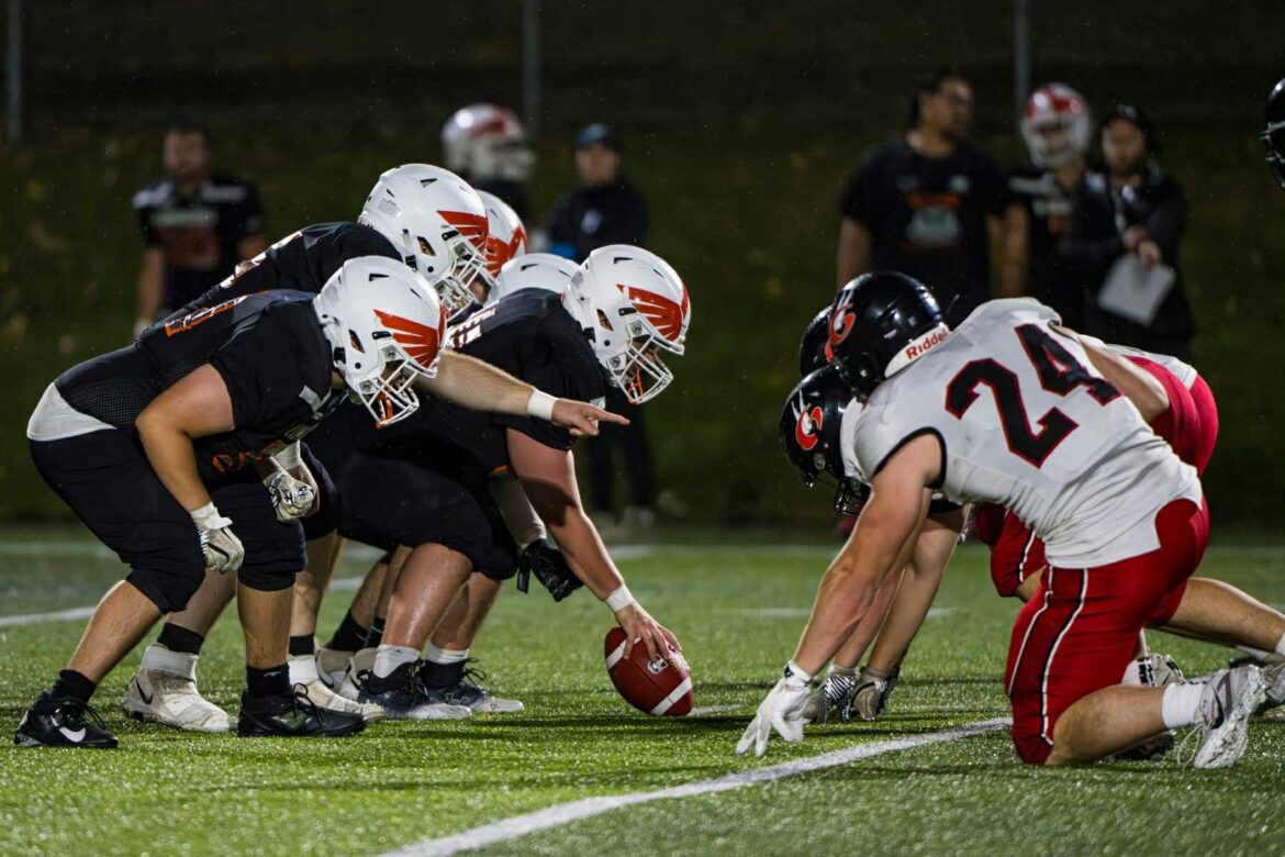 88d3d73f-c70f-493e-bf05-439933c4fd73