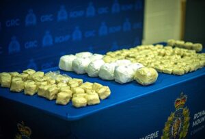 Cocaïne saisie en 2024 par la GRC